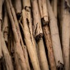 Cinnamon bark, essential oil