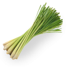Lemongrass, essential oil