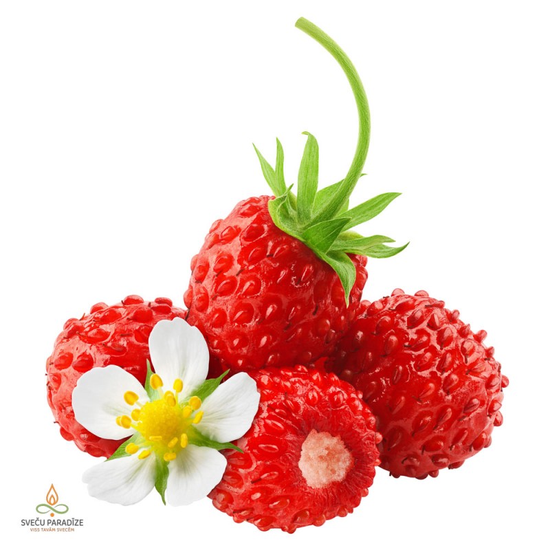 Wild strawberry, fragrance oil