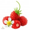 Wild strawberry, fragrance oil