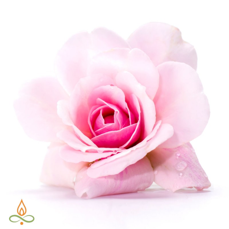Rose 5%, essential oil