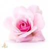 Rose 5%, essential oil