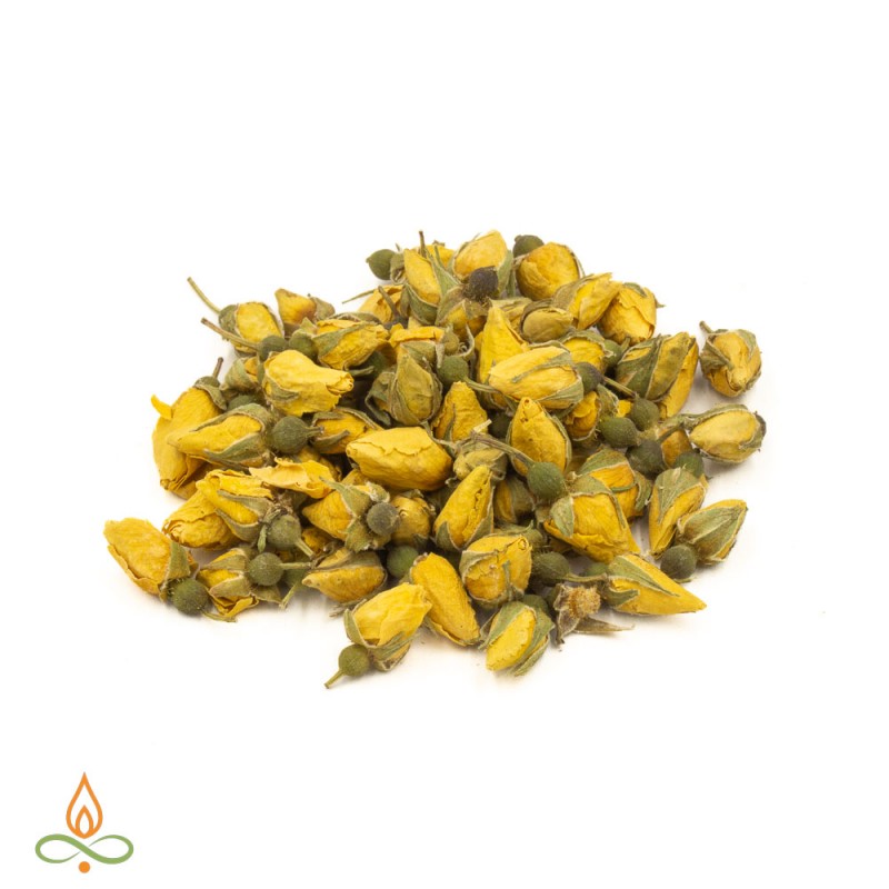 Rose buds, small, yellow