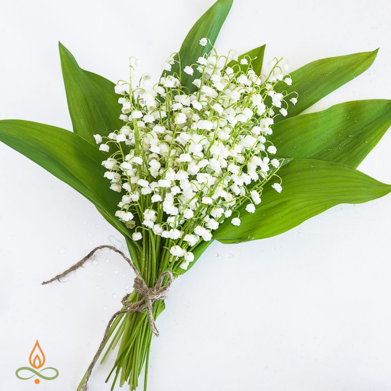 Lilies of the Valley, fragrance oil