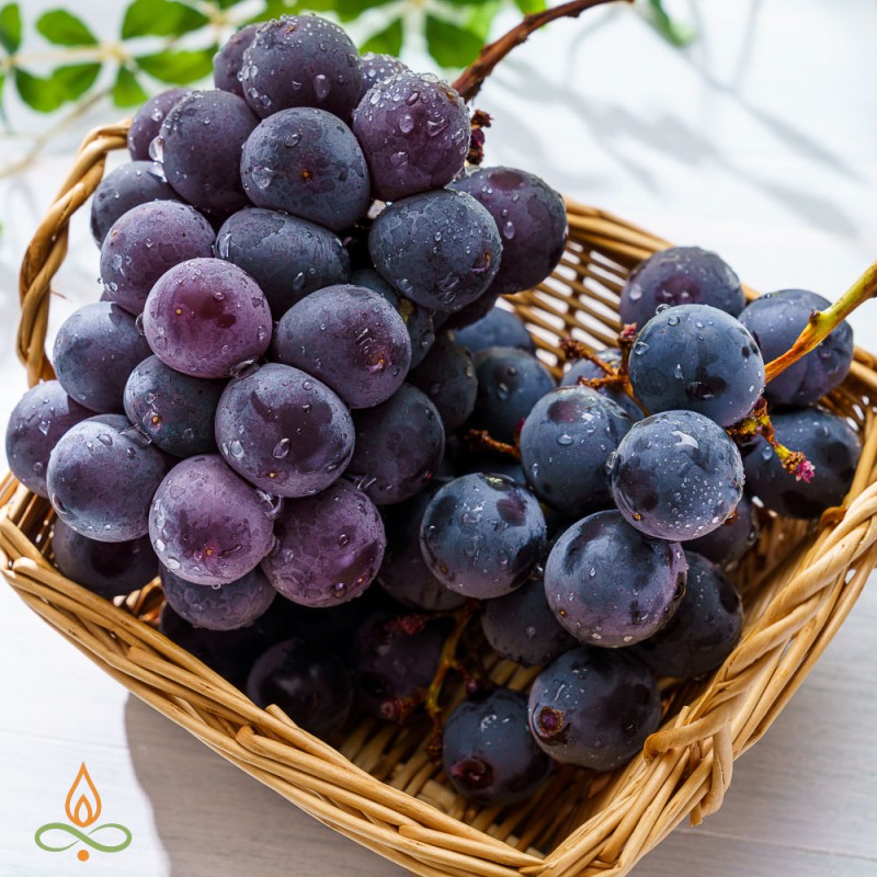 Grape Isabella, fragrance oil