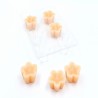 Floating Candle Holder, Flowers (6), polycarbonate, 50mm