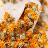 Цветы календулы