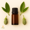 Frankincense, essential oil