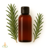 Rosemary (Camphor), essential oil