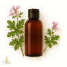 Rose Geranium, BIO, essential oil