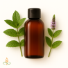 Spearmint, essential oil