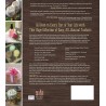 The Big Book of Homemade Products for Your Skin, Health and Home: Easy, All-Natural DIY Projects