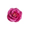 Silicone mould Rose Catherine L, 70x53mm