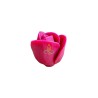Silicone Mould Rose Catherine S, 36x40 mm
