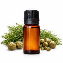 Cypress, essential oil