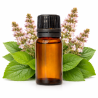 Patchouli, essential oil