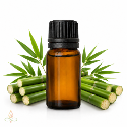 Green bamboo, fragrance oil