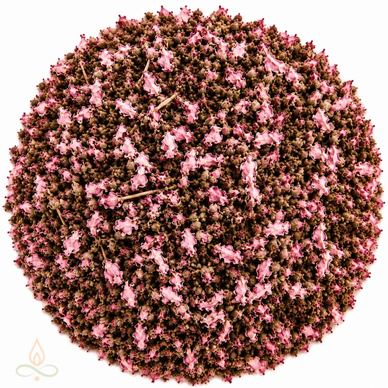 Peach blossom buds