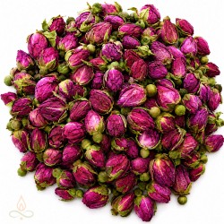 Rose buds, red