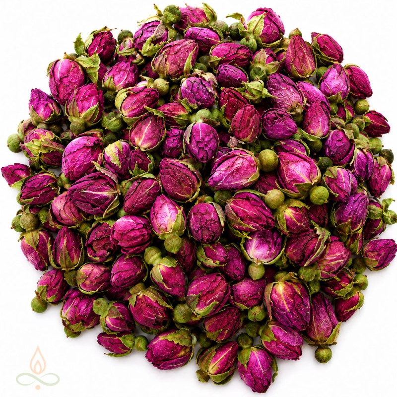 Rose buds, red