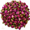 Rose buds, red
