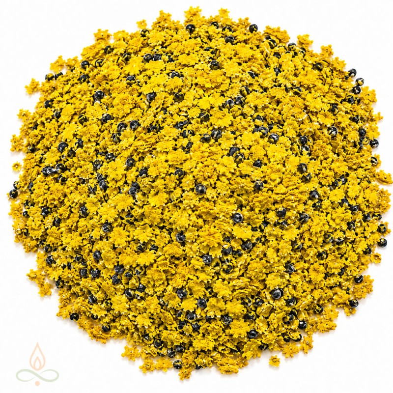 Chrysanthemum flowers