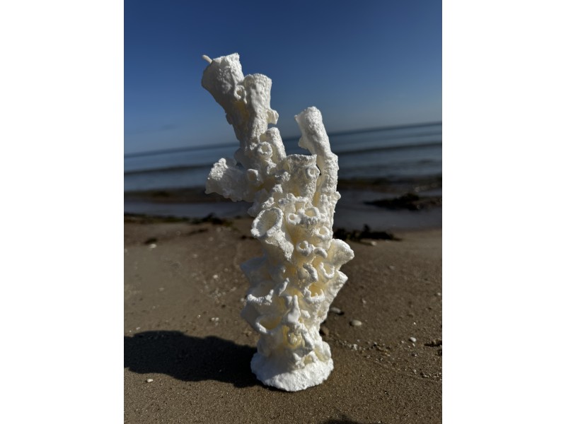 e2aqjitbirusnwru4mud-thumbnail.jpg